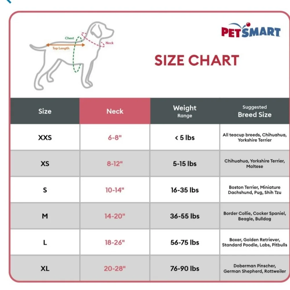 KONG MAX Dog Collar-Small
